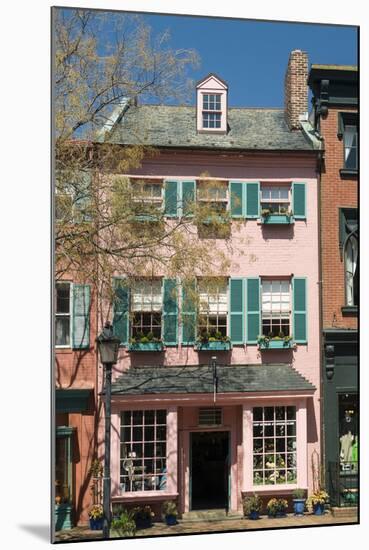 Historic Buildings on Cameron Street in Old Town Alexandria-John Woodworth-Mounted Photographic Print