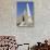 Historic City Hall, McKinley Monument Obelisk, Buffalo, New York, USA-Cindy Miller Hopkins-Stretched Canvas displayed on a wall