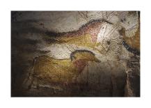 Lascaux Caves - chevaux de course-Historic Collection-Premium Giclee Print