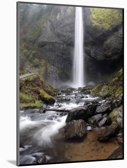 Historic Columbia River Highway-Rick Bowmer-Mounted Photographic Print