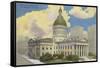 Historic Courthouse, St. Louis, Missouri-null-Framed Stretched Canvas