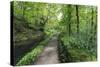 Historic Cromford Canal and Tow Path in Spring-Eleanor Scriven-Stretched Canvas