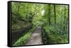 Historic Cromford Canal and Tow Path in Spring-Eleanor Scriven-Framed Stretched Canvas