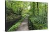 Historic Cromford Canal and Tow Path in Spring-Eleanor Scriven-Stretched Canvas