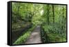 Historic Cromford Canal and Tow Path in Spring-Eleanor Scriven-Framed Stretched Canvas