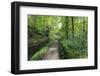 Historic Cromford Canal and Tow Path in Spring-Eleanor Scriven-Framed Photographic Print