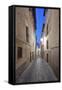 Historic District Alley at Dawn, Toledo, Spain-Rob Tilley-Framed Stretched Canvas