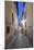 Historic District Alley at Dawn, Toledo, Spain-Rob Tilley-Mounted Photographic Print