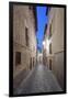 Historic District Alley at Dawn, Toledo, Spain-Rob Tilley-Framed Premium Photographic Print