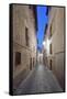 Historic District Alley at Dawn, Toledo, Spain-Rob Tilley-Framed Stretched Canvas