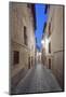 Historic District Alley at Dawn, Toledo, Spain-Rob Tilley-Mounted Photographic Print