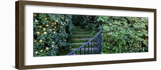 Historic District Charleston Sc, USA-null-Framed Photographic Print