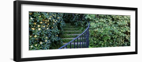 Historic District Charleston Sc, USA-null-Framed Photographic Print