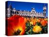 Historic Dunedin Railway Station, New Zealand-David Wall-Stretched Canvas