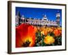 Historic Dunedin Railway Station, New Zealand-David Wall-Framed Photographic Print