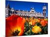 Historic Dunedin Railway Station, New Zealand-David Wall-Mounted Photographic Print