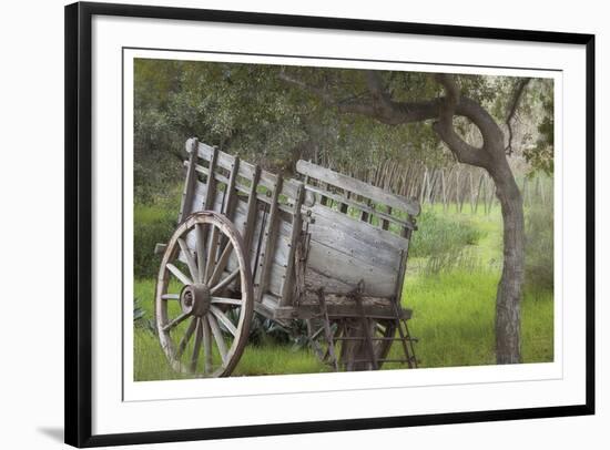 Historic Farm Cart-Donald Paulson-Framed Giclee Print