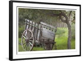 Historic Farm Cart-Donald Paulson-Framed Giclee Print