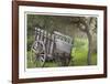 Historic Farm Cart-Donald Paulson-Framed Giclee Print