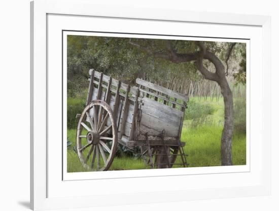 Historic Farm Cart-Donald Paulson-Framed Giclee Print