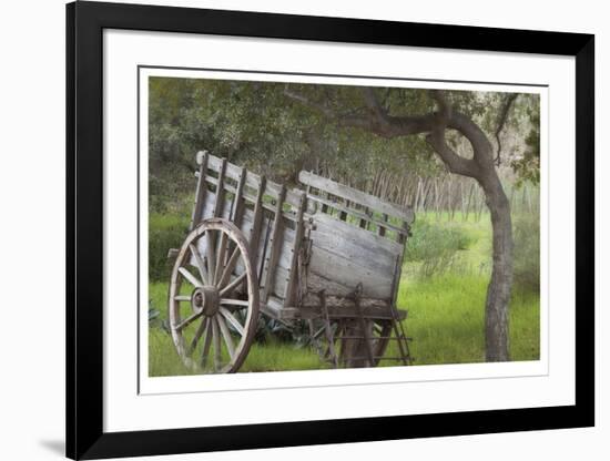 Historic Farm Cart-Donald Paulson-Framed Giclee Print