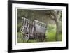 Historic Farm Cart-Donald Paulson-Framed Giclee Print