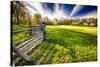 Historic Farm During Spring, Morristown, New Jersey-George Oze-Stretched Canvas