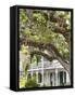 Historic Home with Spanish Moss-Covered Oak Tree, Fernandina Beach, Amelia Island, Florida, Usa-Cindy Miller Hopkins-Framed Stretched Canvas