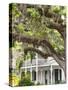Historic Home with Spanish Moss-Covered Oak Tree, Fernandina Beach, Amelia Island, Florida, Usa-Cindy Miller Hopkins-Stretched Canvas