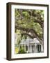 Historic Home with Spanish Moss-Covered Oak Tree, Fernandina Beach, Amelia Island, Florida, Usa-Cindy Miller Hopkins-Framed Photographic Print