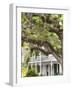 Historic Home with Spanish Moss-Covered Oak Tree, Fernandina Beach, Amelia Island, Florida, Usa-Cindy Miller Hopkins-Framed Photographic Print