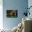 Historic homes of Beacon Hill, Boston, MA-null-Mounted Photographic Print displayed on a wall