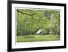 Historic Homestead 2-Donald Paulson-Framed Giclee Print