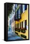 Historic Houses, East Bay Street, Charleston, South Carolina-George Oze-Framed Stretched Canvas