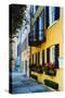 Historic Houses, East Bay Street, Charleston, South Carolina-George Oze-Stretched Canvas