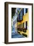 Historic Houses, East Bay Street, Charleston, South Carolina-George Oze-Framed Photographic Print