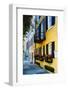 Historic Houses, East Bay Street, Charleston, South Carolina-George Oze-Framed Photographic Print