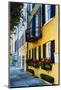 Historic Houses, East Bay Street, Charleston, South Carolina-George Oze-Mounted Photographic Print