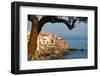 Historic Houses on the Rocky Coastline of Cefalu, Sicily, Italy, Mediterranean, Europe-Martin Child-Framed Photographic Print