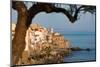 Historic Houses on the Rocky Coastline of Cefalu, Sicily, Italy, Mediterranean, Europe-Martin Child-Mounted Photographic Print