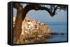 Historic Houses on the Rocky Coastline of Cefalu, Sicily, Italy, Mediterranean, Europe-Martin Child-Framed Stretched Canvas