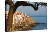 Historic Houses on the Rocky Coastline of Cefalu, Sicily, Italy, Mediterranean, Europe-Martin Child-Stretched Canvas