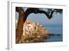Historic Houses on the Rocky Coastline of Cefalu, Sicily, Italy, Mediterranean, Europe-Martin Child-Framed Photographic Print