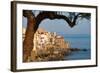 Historic Houses on the Rocky Coastline of Cefalu, Sicily, Italy, Mediterranean, Europe-Martin Child-Framed Photographic Print