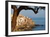 Historic Houses on the Rocky Coastline of Cefalu, Sicily, Italy, Mediterranean, Europe-Martin Child-Framed Photographic Print