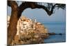 Historic Houses on the Rocky Coastline of Cefalu, Sicily, Italy, Mediterranean, Europe-Martin Child-Mounted Photographic Print