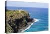 Historic Kilauea Lighthouse on Kilauea Point National Wildlife Refuge-Michael DeFreitas-Stretched Canvas