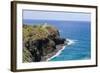 Historic Kilauea Lighthouse on Kilauea Point National Wildlife Refuge-Michael DeFreitas-Framed Photographic Print