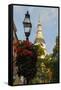 Historic Maryland State House in Annapolis, Maryland-Jerry Ginsberg-Framed Stretched Canvas