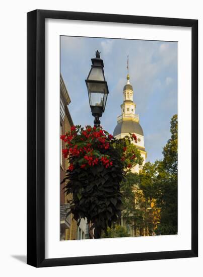 Historic Maryland State House in Annapolis, Maryland-Jerry Ginsberg-Framed Photographic Print